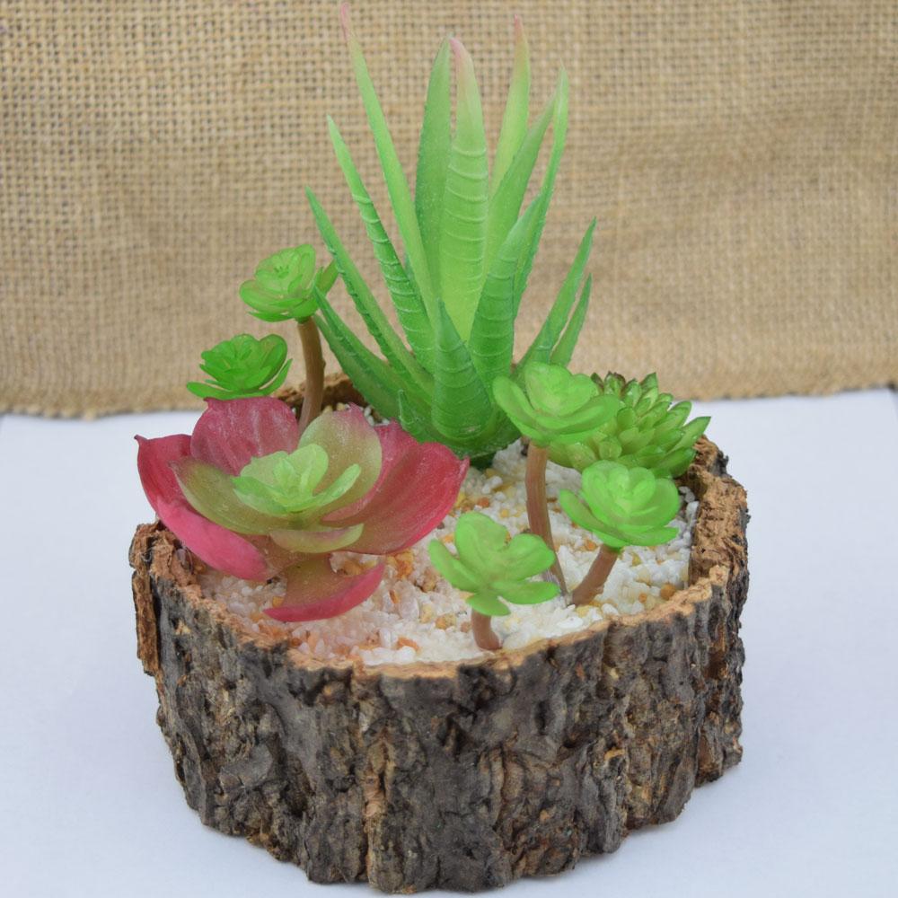 Realistic Succulents Plant in 4.25" Tree Trunk Pot - Table Centerpiece - AsianImportStore.com - B2B Wholesale Lighting and Decor