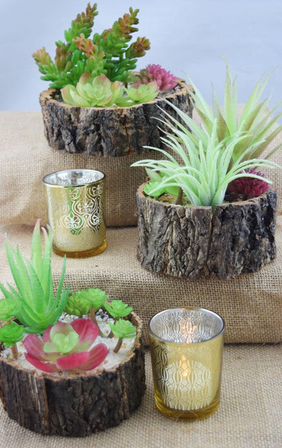 Realistic Succulents Plant in 4.25" Tree Trunk Pot - Table Centerpiece - AsianImportStore.com - B2B Wholesale Lighting and Decor